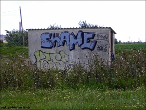 SHAME graffiti photo by cod-gabriel, posted from Flickr