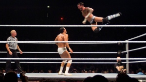 CM Punk versus Alberto Del Rio in a WWE wrestling match.